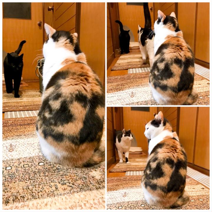 3e7462c1 88a4 4975 8ff9 94613cd95b9e 1522421162542