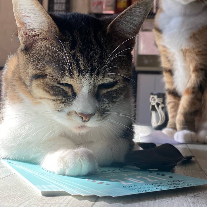 3e7498a8 7806 44c1 a835 7b0cde5fbe22 1609557469966