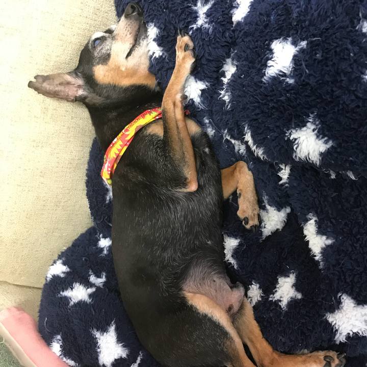 3e74b22f 9a0f 4c0c bcd8 60b8d541c987 1566220907430