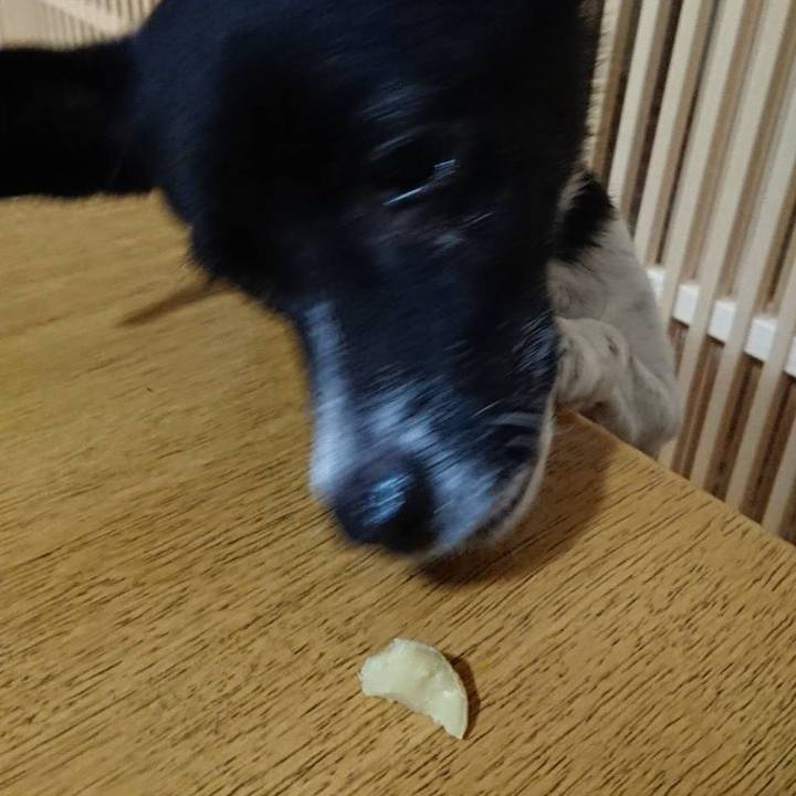 3e74efad 11f9 4f96 9d4c 1ec17c260282 1571144597836