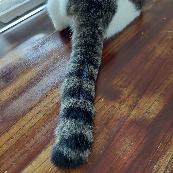 3e750045 1950 4d51 86b1 6c74a504a66a 1693539696448