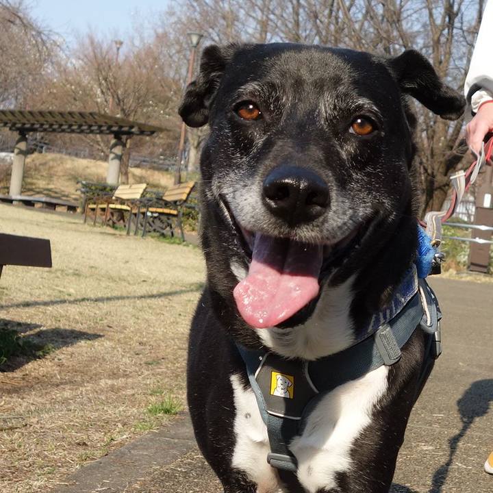 3e750525 43fd 430b 86a3 5cc6371794a1 1742692107796