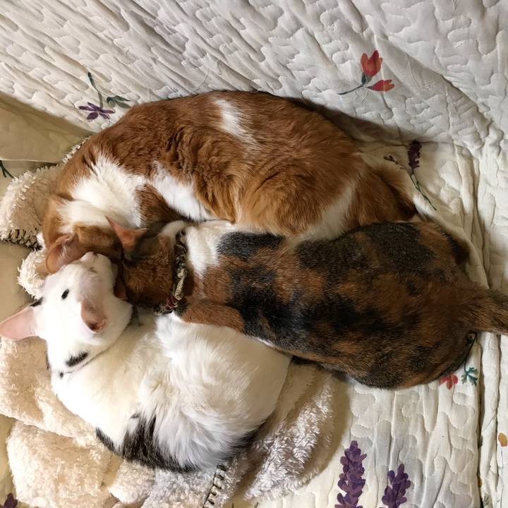 3e7518ea 9779 464a af49 174f92b00444 1610871707428