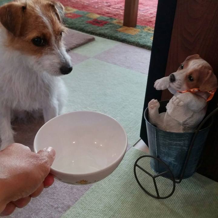 3e7522de 648f 431f aaeb 35d9bf05198e 1537229151352