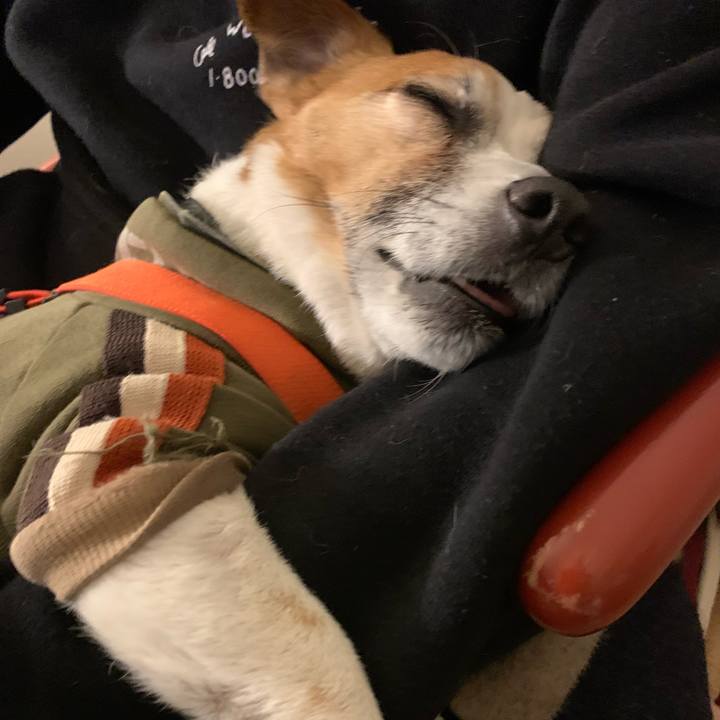 3e752791 032f 45c9 9fac 6a4409eb1bc7 1646826451058