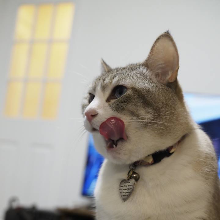 3e7546a2 7843 4dff b140 4707a41c3dcf 1645007984194