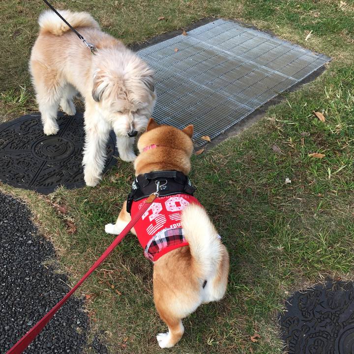 3e754b9d 65ff 4edf 8c09 7e2b9b297d52 1606611012818