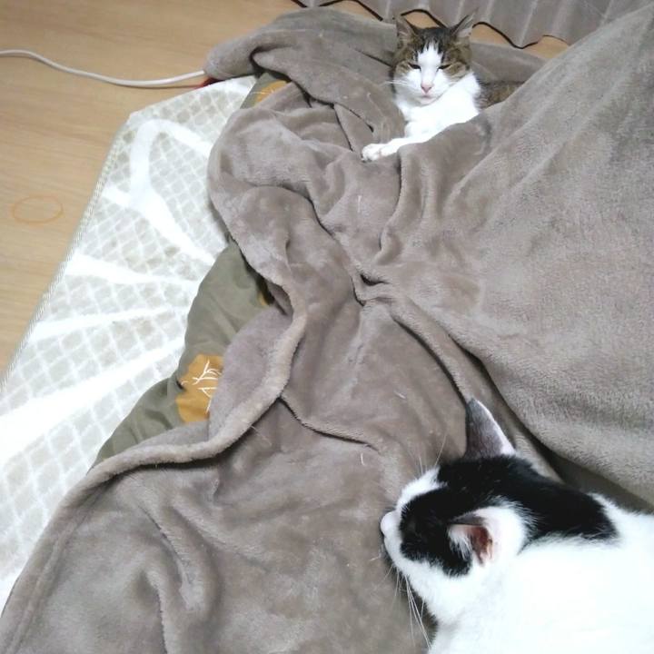 3e754ba5 9cbd 4db4 aa95 38f86e30b73d 1552127766310