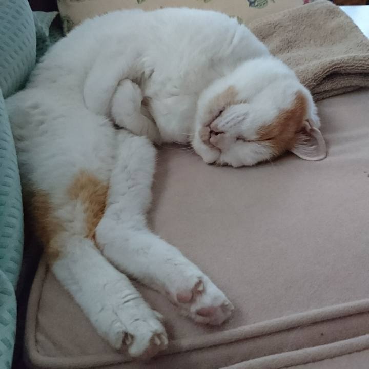 3e755a59 ffc6 474e 81ca 1fb48f10b2e9 1534672860550