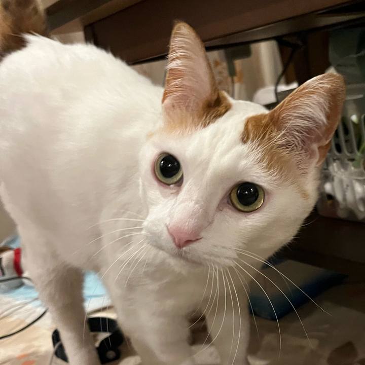 3e7572d4 30de 47b5 9ab0 d4fe0a517f20 1772549041738