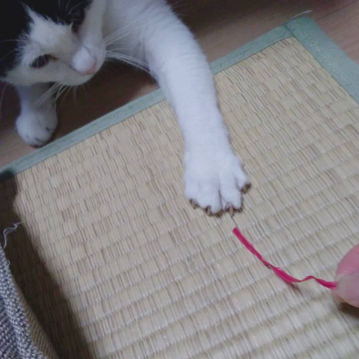 3e758b06 5ab1 4496 91ab 811c7ee3fb54 1535542712239