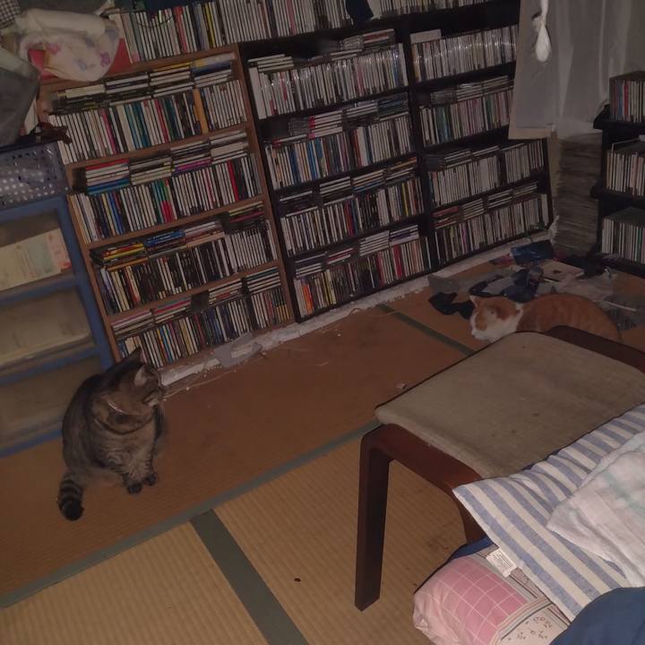 3e75f5cc 90ac 4520 ac12 3d1198f987cc 1767310839485