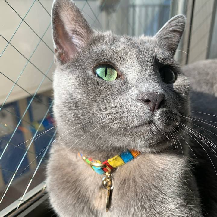 3e75f93b ff08 4216 b79c 83244f53c849 1627425479759