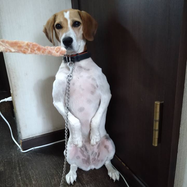 3e75fade d0f1 4242 9cb0 4504b75174fb 1629003171965