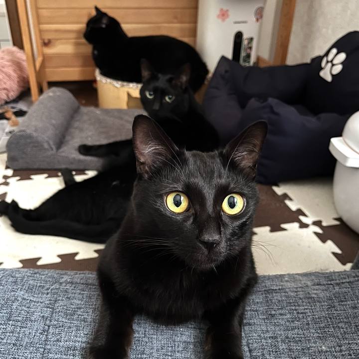 3e761978 6f05 4493 a388 8e9618e421ba 1759653302666