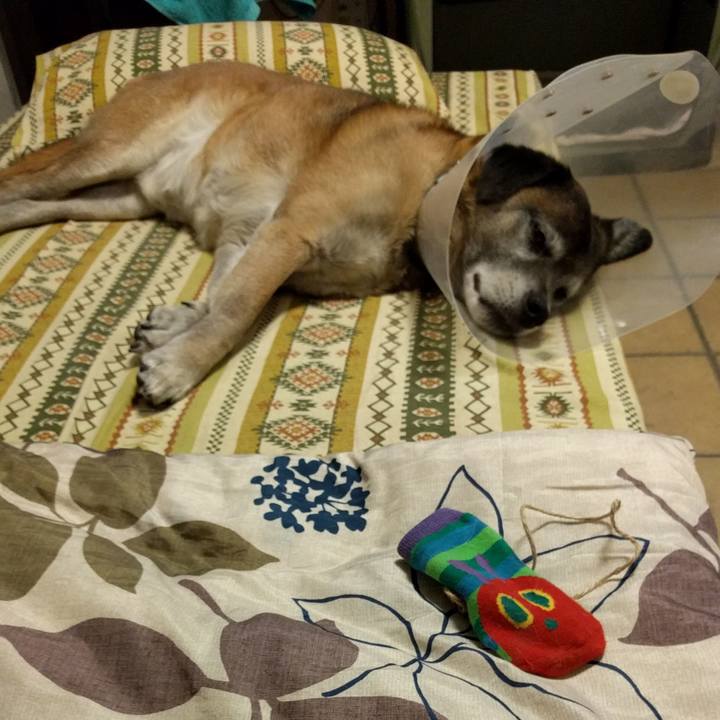 3e76209e ed0f 4387 a807 73dbe295eb68 1550357242622