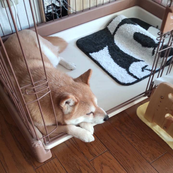 3e7624ae 2f65 4df2 8203 c41cfd20b0f3 1771466513664