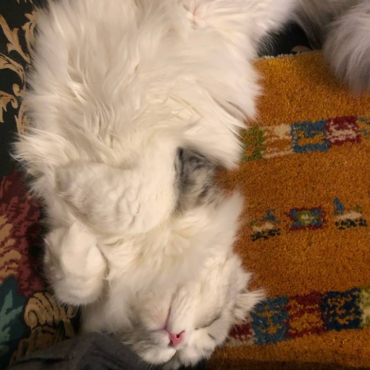 3e762f46 24ce 42bd 87bf 8def839c4a7a 1610543466715