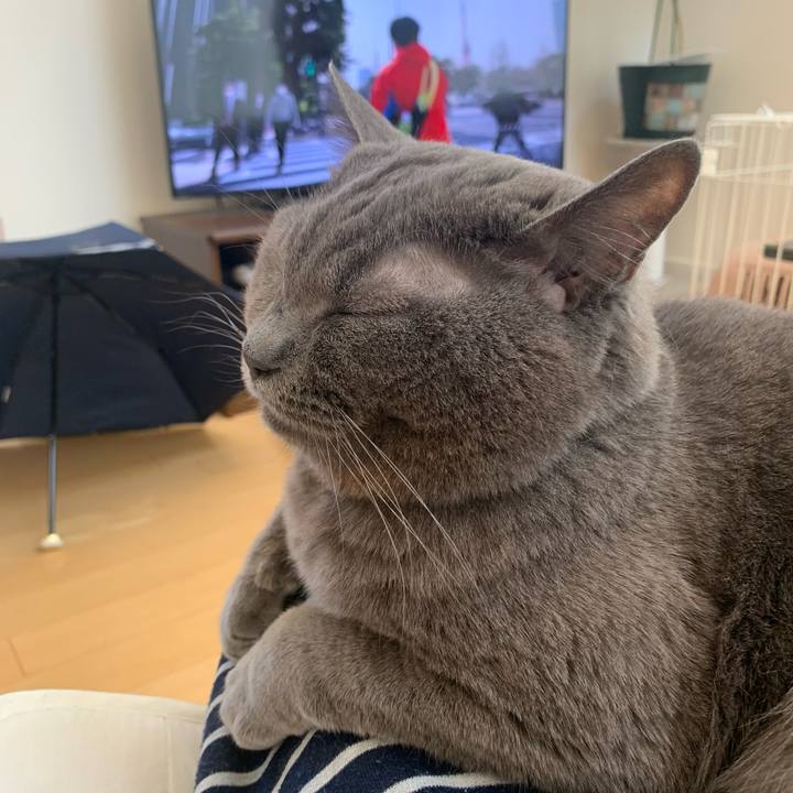 3e762f59 1929 405a b610 bac89db678f1 1685146313607