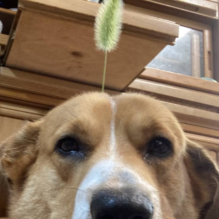 3e7631f3 b161 464f 9126 364732be4617 1691109072033