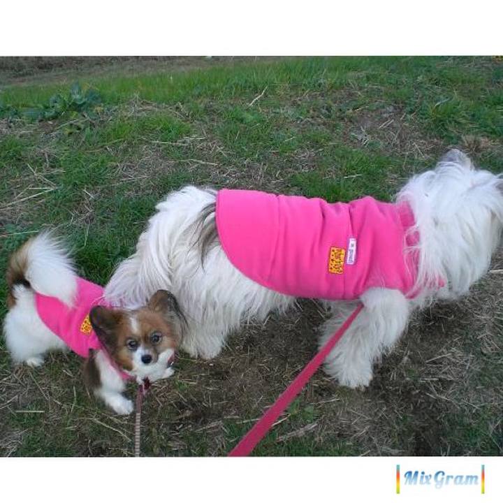 3e763476 74b7 4e12 b6e8 642e89634e25 1515738682915