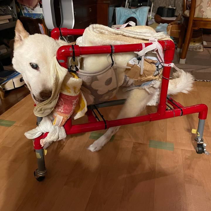 3e763e8f ddd2 47c2 92fa ae6f9c62f942 1670756047415