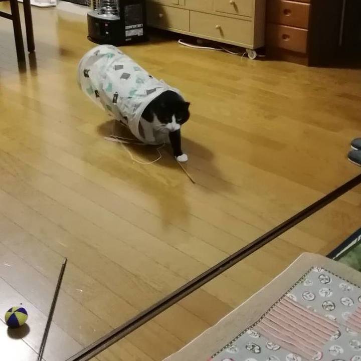 3e764985 14c0 4e2a 8c09 0a606c1dcb8b 1573395414272