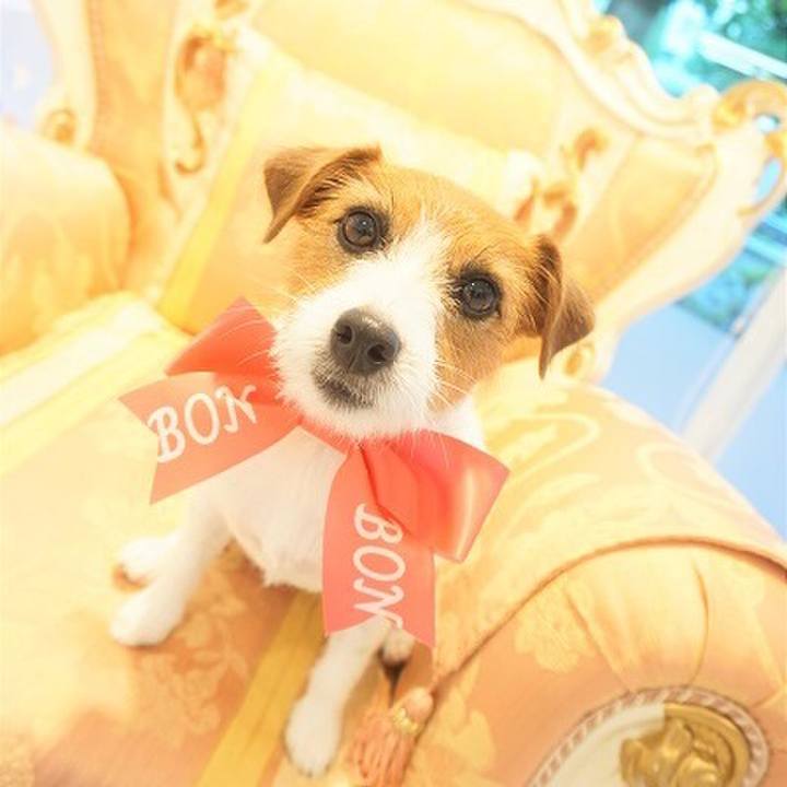 3e76a5e2 f61a 466b a10b 2b0873ec7d60 1532233363678