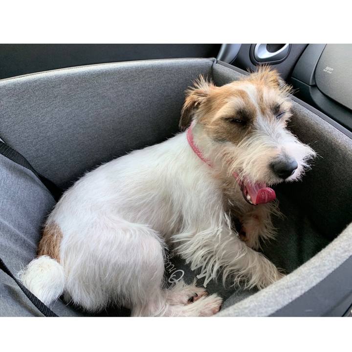 3e76a62a 64ad 4f05 94d8 be7b3422c7be 1596425966854