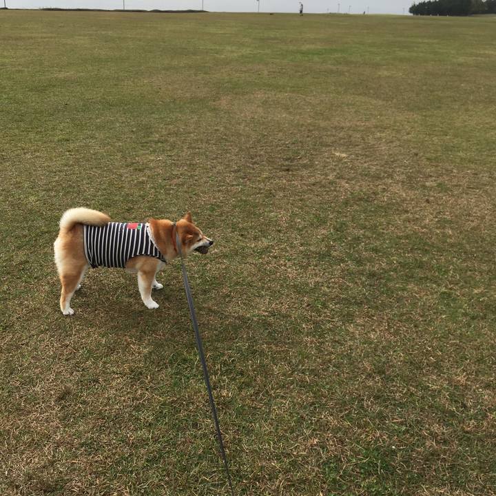 3e76f1d8 c016 4dfb 8d1d 2b0d62b831fc 1541468121498