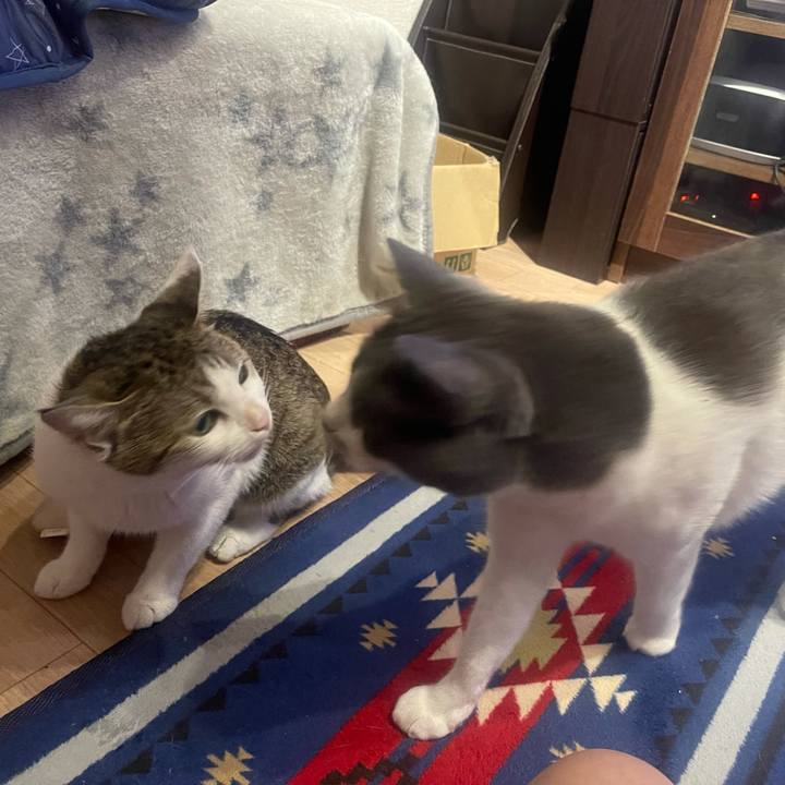 3e770a58 2c7f 4f60 82a3 af01b05ca60d 1629750332978