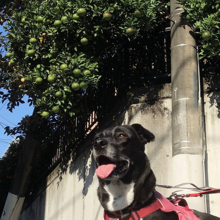 3e771c8b 40c2 4630 bbac 11ce1b972d63 1698367369491