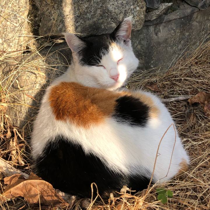 3e77271a 54a1 410c 8ecb 58f403eb6140 1607768789994