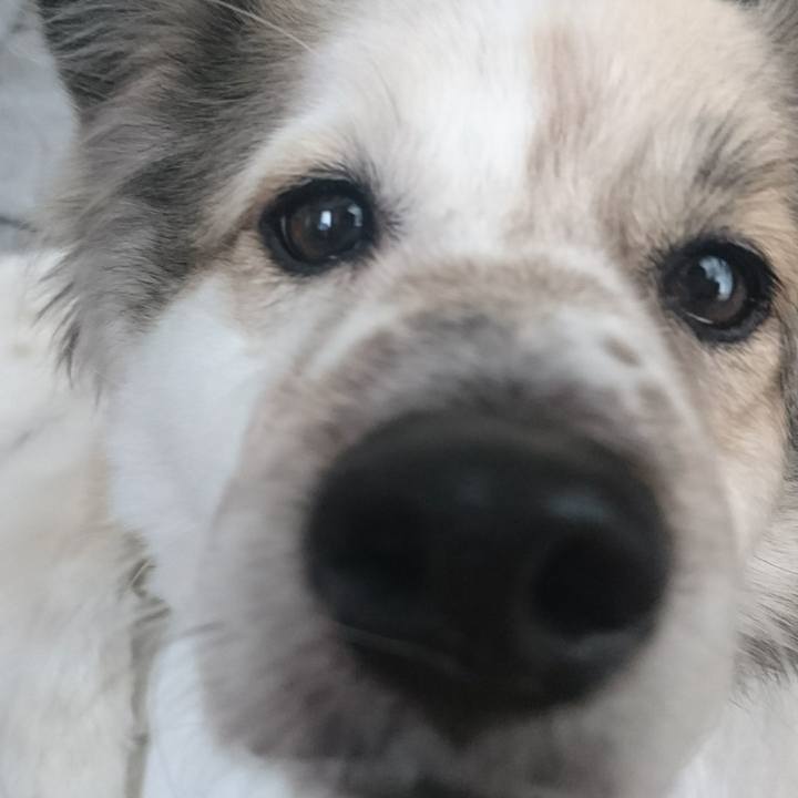 3e772a5d 10ce 4332 805d abed0de03b59 1519646788383