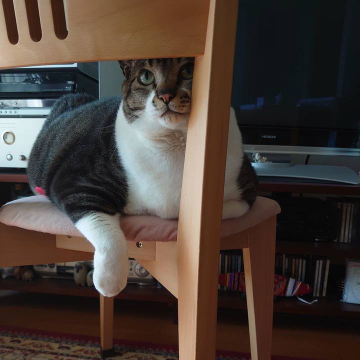 3e77434a 9bf9 4e21 ae82 356119441bda 1585180073435