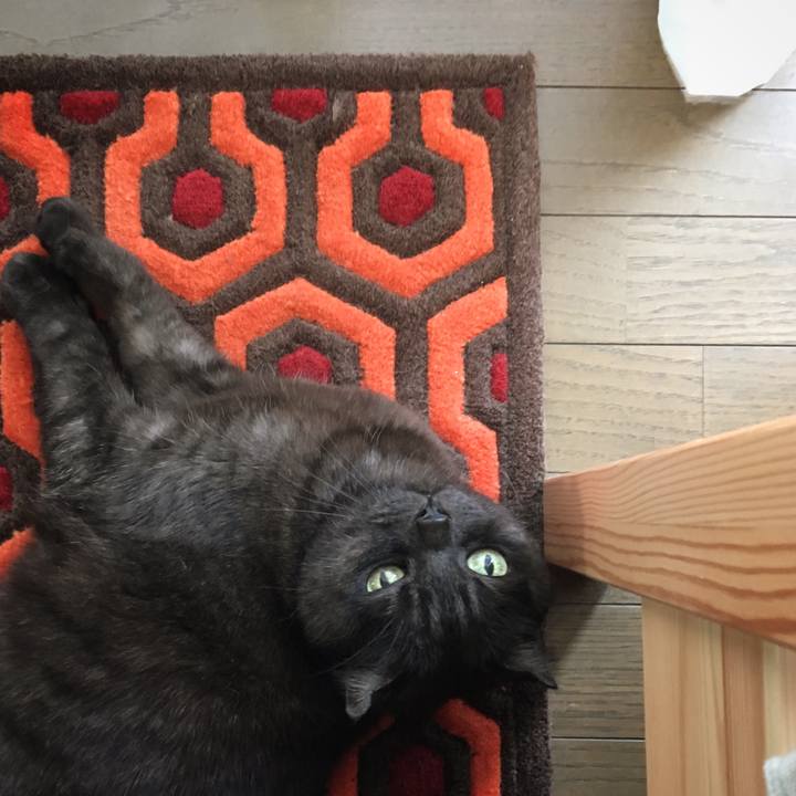 3e77791f 288b 40fa 9c6c 0abd2dcf8859 1555634821139