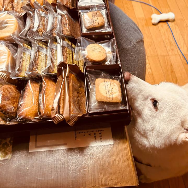 3e77b1e5 5a46 4784 b25f 2276e1931187 1703804959258