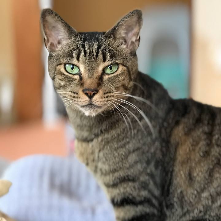 3e77bebc 6d03 4370 976e 1b6f6cef34f6 1532908768911