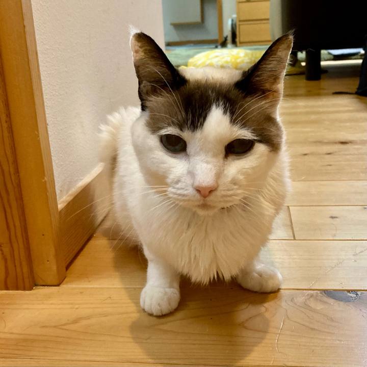 3e77c4e1 5d9b 4ef4 9760 2bed2183a1d6 1678882321433