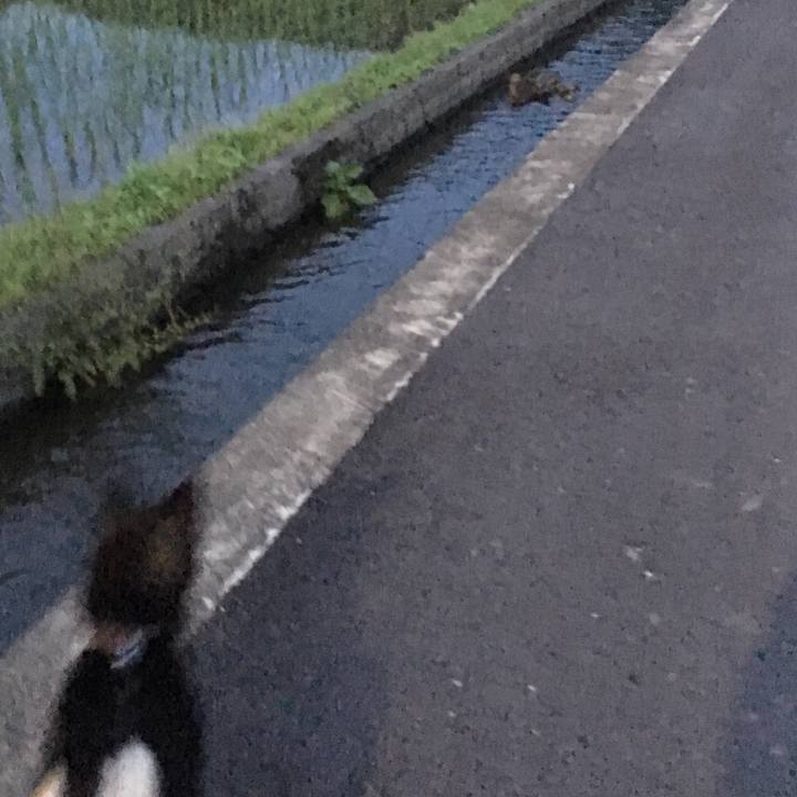 3e782418 2993 435e affb 59a3a59d48e1 1559834736746