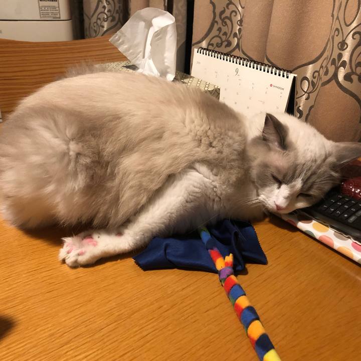 3e78372f af4d 435e 96d8 0c741ef897ab 1569322633995