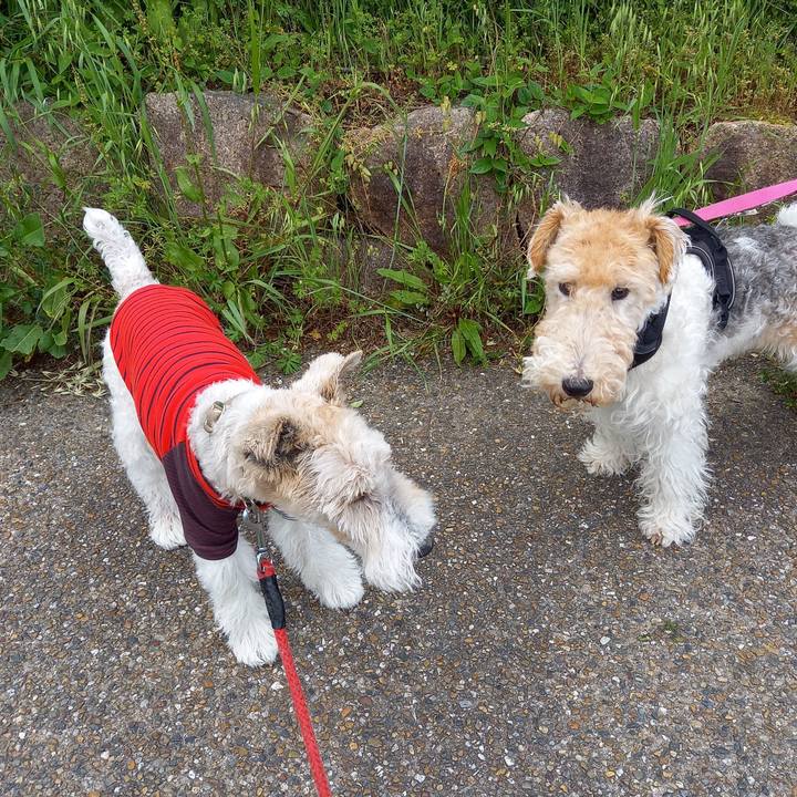 3e784ba6 b7c1 45e4 b63d 210f89360b80 1620030650643