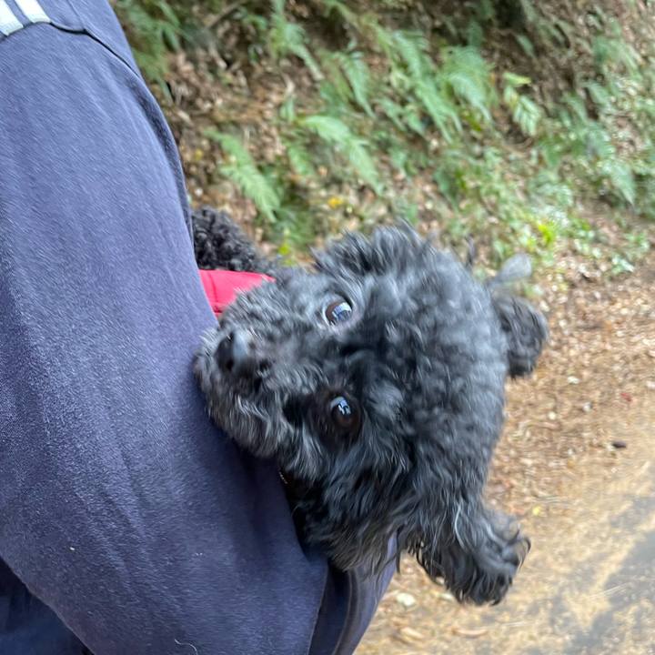 3e784c05 10b5 420c bc86 aff5fb573448 1668911218944