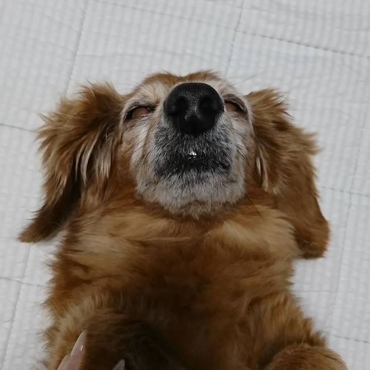 3e784e83 1bca 4944 a69f a081ce43ef1a 1507396465453