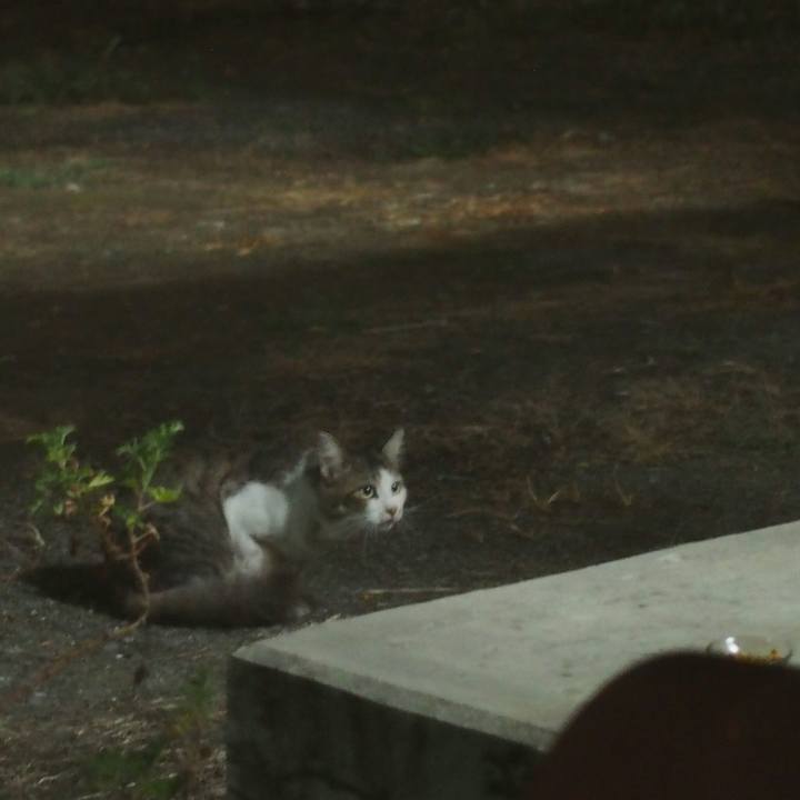 3e784fcc 5bed 4151 b721 23ae92ea10de 1535377252372