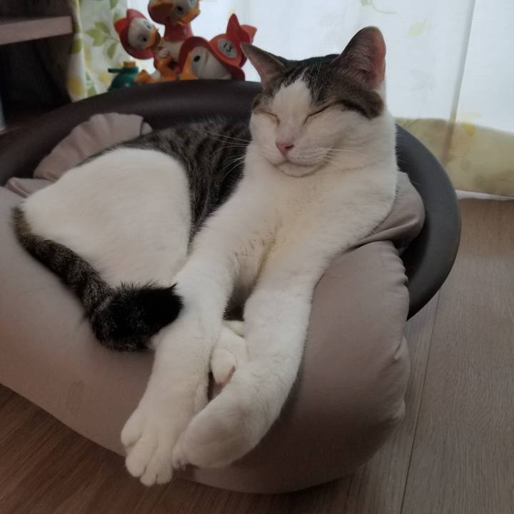 3e78696c 3409 4f96 bc9a 76911cfdfdac 1618436081742