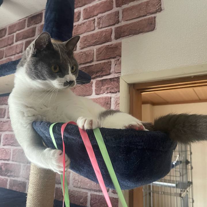 3e7878f6 586a 418d a0bd 09778d0b640a 1668913350283