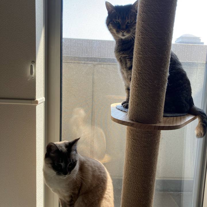 3e788deb 9fb0 4abf 96fc 2bc09554833b 1774158275565