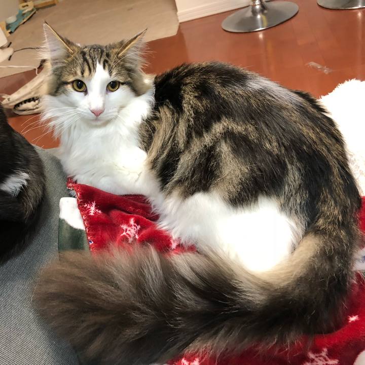 3e789725 210e 4c12 814f 4c4c9d92e329 1519616043827