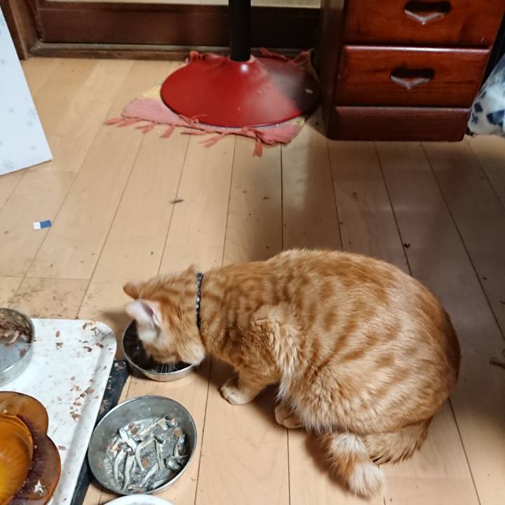 3e78d86c e764 4fe5 880b fcb15db2e563 1644354165268